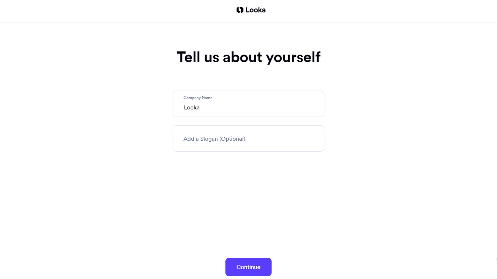 Указание информации Looka